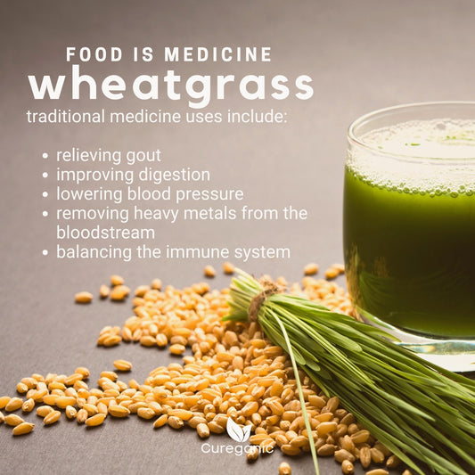 The Benefits of Wheatgrass