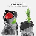 Whole Fruit Cold Press Juicer Large Dual Mouth Gray