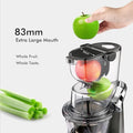 Whole Fruit Cold Press Juicer Large Dual Mouth Gray