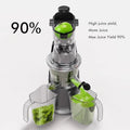 Whole Fruit Cold Press Juicer Large Dual Mouth Gray