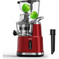 Whole Fruit Masticating Juicer Large Dual Mouth Red