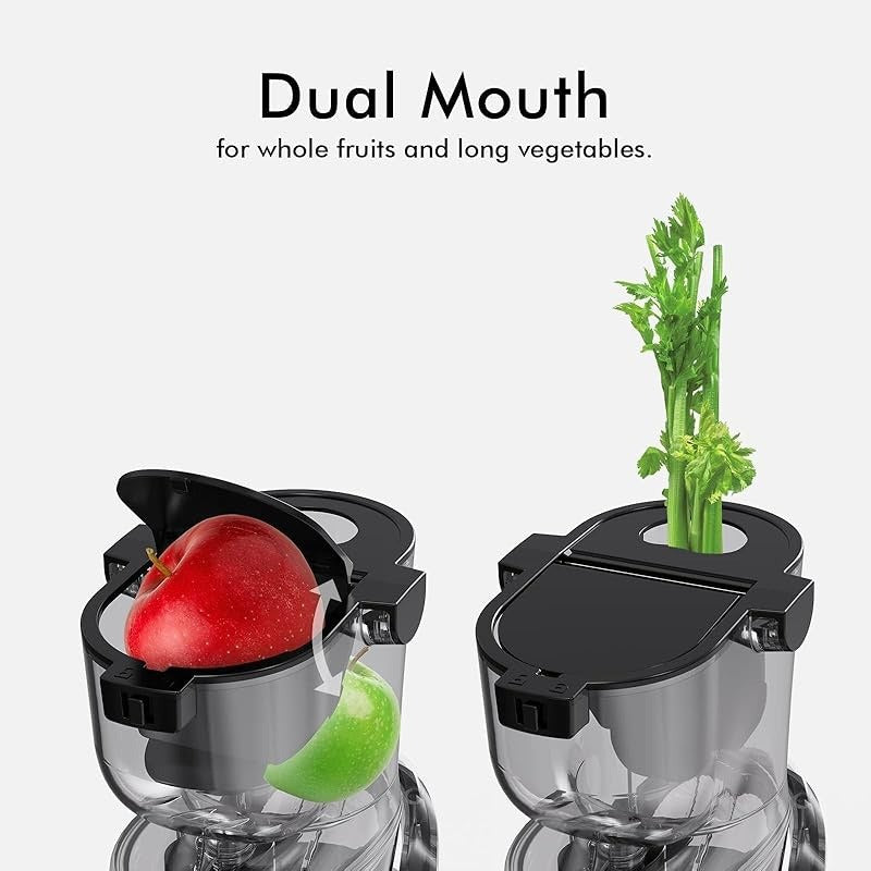 Whole Fruit Masticating Juicer Large Dual Mouth Red