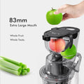 Whole Fruit Cold Press Juicer Large Dual Mouth White