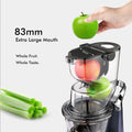 Whole Fruit Cold Press Juicer Large Dual Mouth Blue