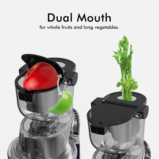 Whole Fruit Masticating Juicer Large Dual Mouth Blue