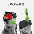 Whole Fruit Cold Press Juicer Large Dual Mouth Blue