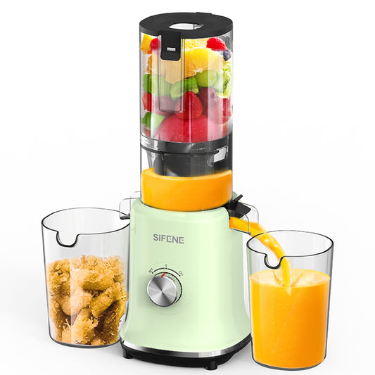 Whole Fruit Masticating Juicer Large Capacity Green