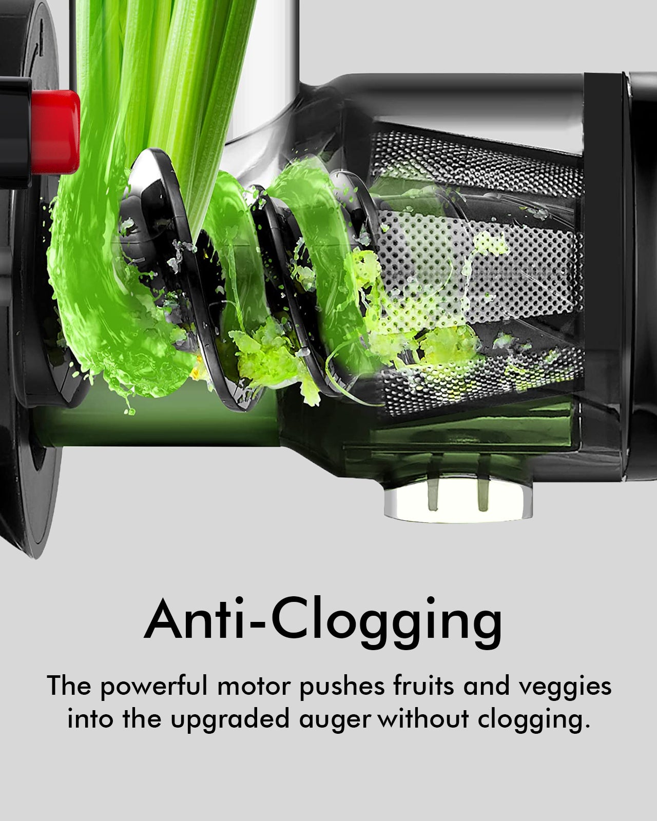 Slow Masticating Juicer 3009