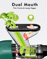 Dual Mouth Masticating Juicer Classic Green