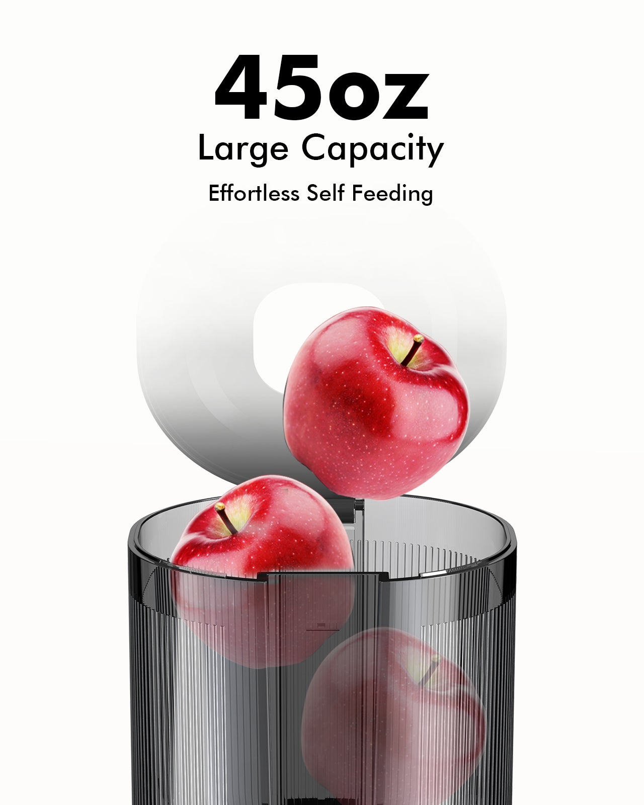 Whole Fruit Cold Press Juicer Large Capacity Silver