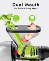 Dual Mouth Masticating Juicer Pro Gray