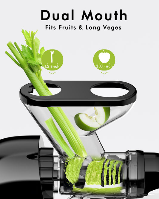 SIFENE High Performance Vegetable and Fruit Juicer Machine, Slow Masticating