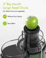 Centrifugal Juicer Classic Green