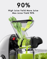 Dual Mouth Masticating Juicer Pro Gray