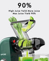 Dual Mouth Masticating Juicer Classic Green