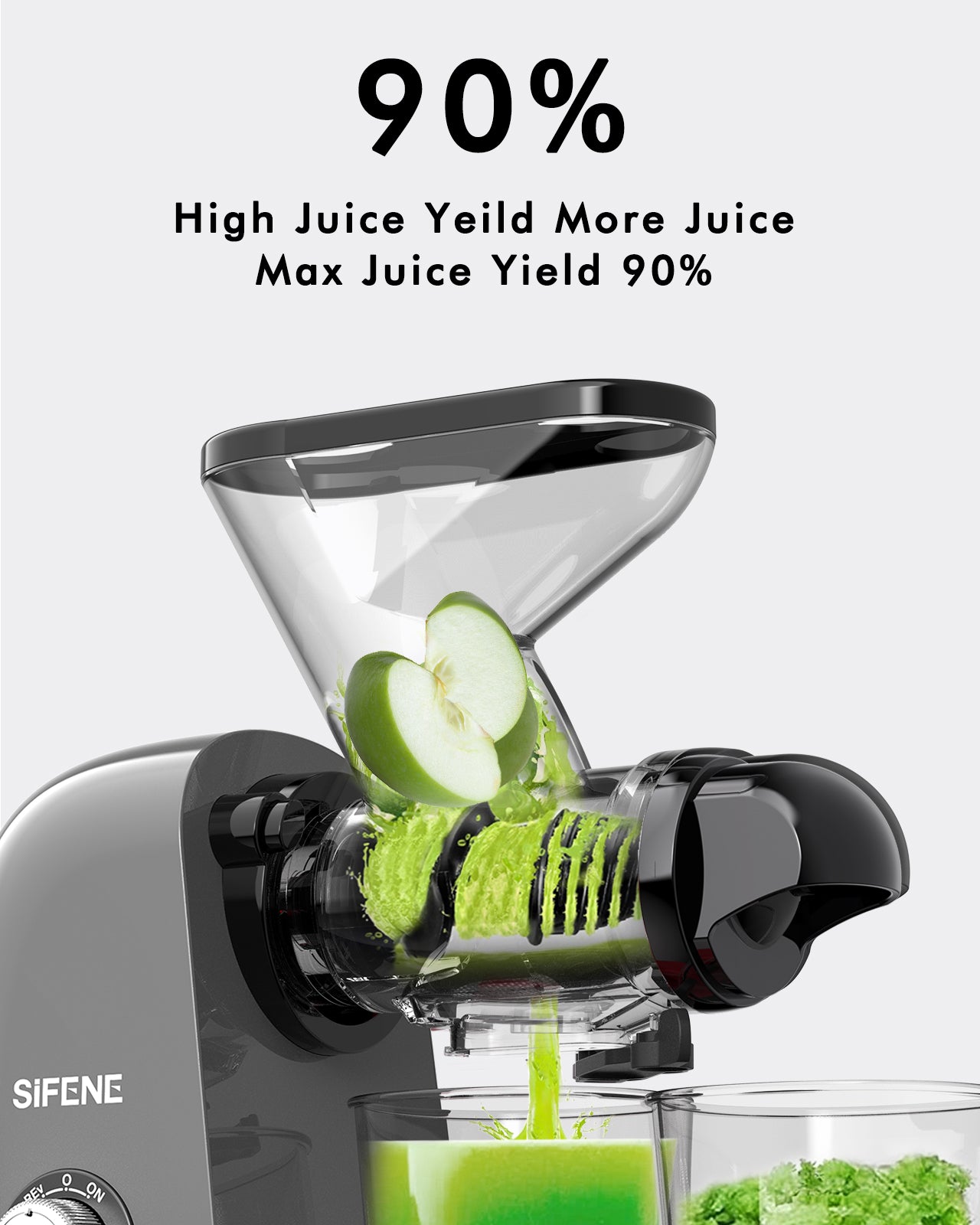 Dual Mouth Masticating Juicer Classic Gray