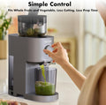 Whole Fruit Cold Press Juicer Large Feed Chute Gray