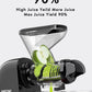 Dual Mouth Masticating Juicer Classic Black