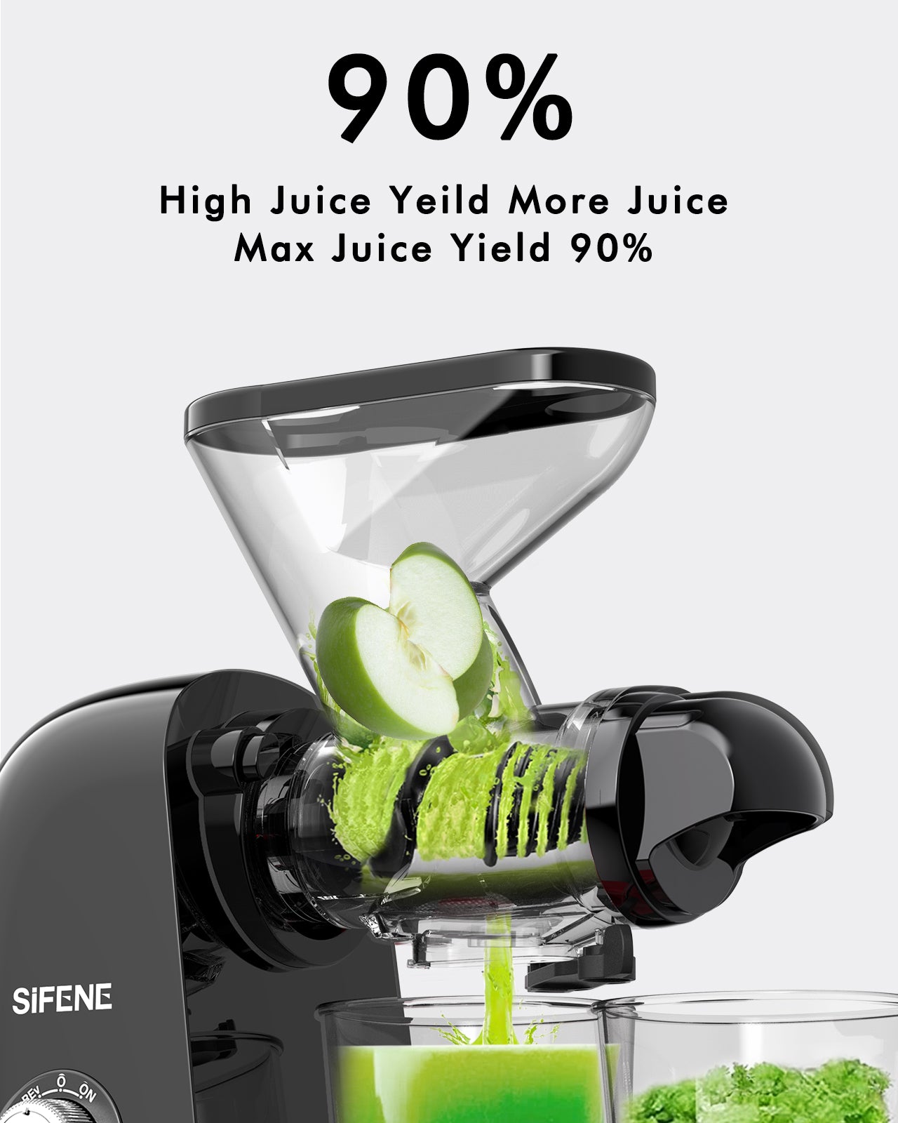 Dual Mouth Masticating Juicer Classic Black