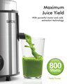 Centrifugal Juicer Classic Silver