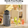 Whole Fruit Cold Press Juicer Large Feed Chute Gray