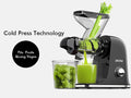 SIFENE High Performance Vegetable and Fruit Juicer Machine, Slow Masticating