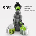 SIFENE Whole Fruit Cold Press Juicer Machine - Premium Vertical Slow Masticating Juicer,Sleek Gray