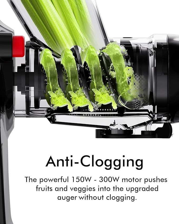 Slow Masticating Juicer Machine Dual Mouth Anti-Clog