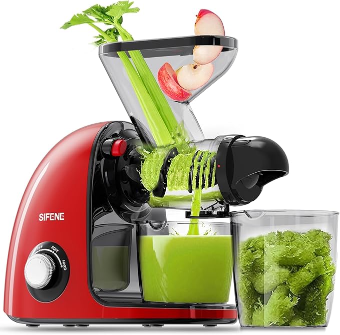 Slow Masticating Juicer Machine Dual Mouth Anti-Clog