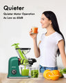 Dual Mouth Masticating Juicer Classic Green