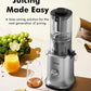 Whole Fruit Masticating Juicer Large Capacity Silver