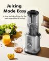 SiFENE Whole Fruit Juicer 8202 Silver