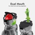 Whole Fruit Cold Press Juicer Large Dual Mouth Green