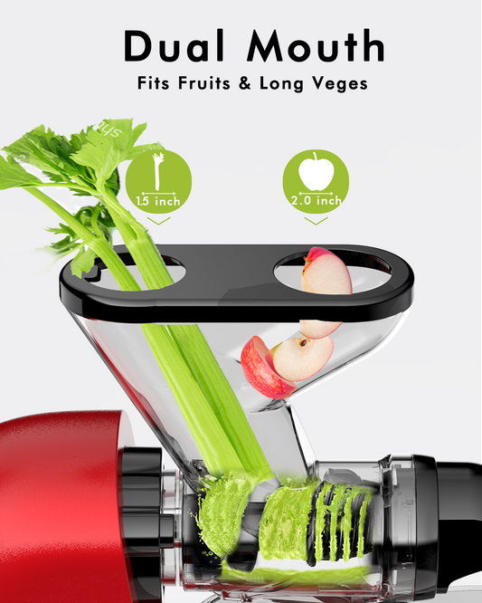 SiFENE Dual Feed Chute Cold Press Juicer by Hervigour, High Power Quiet Motor