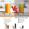 Slow Masticating Juicer Classic