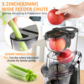 SiFENE Vertical Cold Press Juicer