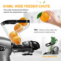 Slow Masticating Juicer Pro 3101