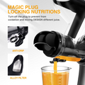 Slow Masticating Juicer Pro 3101